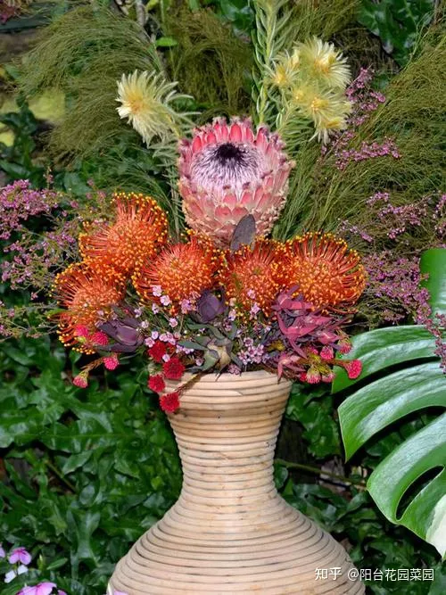 8种“昂贵花”，工薪族“舍不得”买，但是太好看，有钱要买个遍-比较贵的花材是什么花