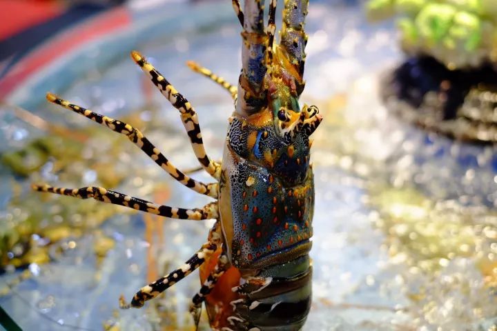 撕X | 五星级酒店摆婚宴，办满月的各种套路都在这了！办不办你自己看～-酒店满月宴菜单