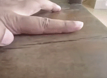 慎看：床虱子，对人的体温有多敏感？-床虱怕热吗