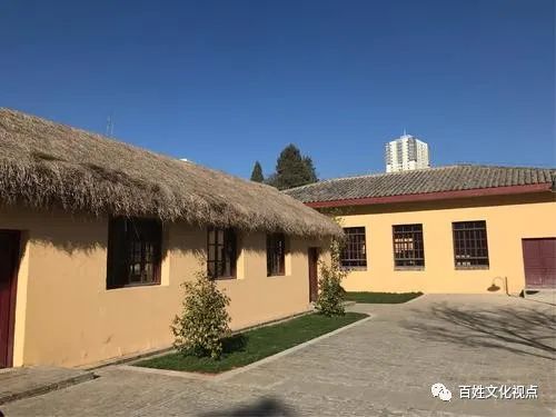 1980年代那些臭虫、虱子、跳蚤们-80后小时候的