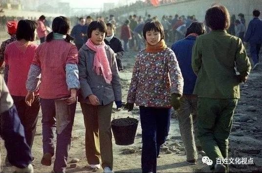 1980年代那些臭虫、虱子、跳蚤们-80后小时候的