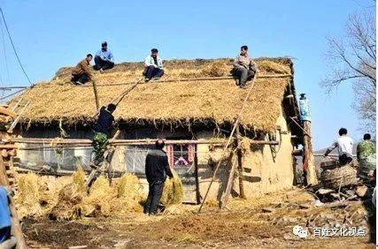 1980年代那些臭虫、虱子、跳蚤们-80后小时候的