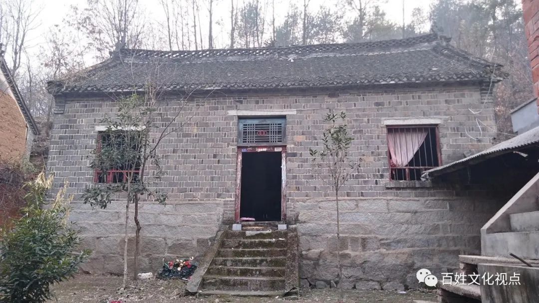 1980年代那些臭虫、虱子、跳蚤们-80后小时候的