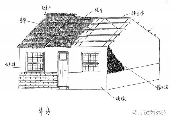 1980年代那些臭虫、虱子、跳蚤们-80后小时候的