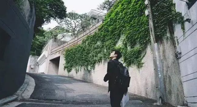 韩国首部戛纳金奖电影《寄生虫》：阶层固化可以打破么？-韩国电影寄生虫是灾难片吗