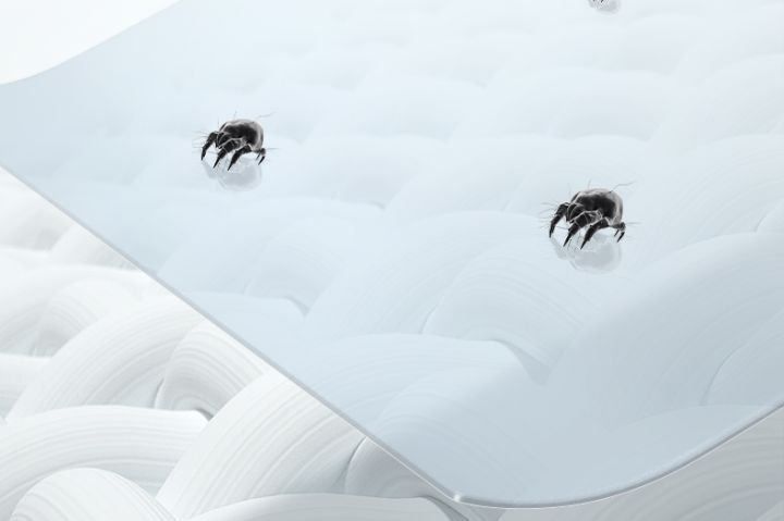 如何知道床垫上有没有螨虫？怎么除？？-如何知道床垫是否有螨虫