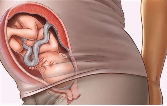 胎宝宝的三个关键发育期，孕妈妈一定要把握好（胎儿发育分为哪几个阶段）