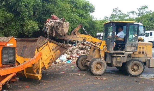 以前困扰农村人的虱子，现在已经很少见了？原因其实很简单-虱子是什么物种