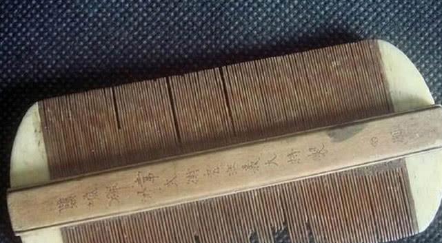 以前困扰农村人的虱子，现在已经很少见了？原因其实很简单-虱子是什么物种