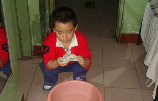 以前困扰农村人的虱子，现在已经很少见了？原因其实很简单-虱子是什么物种