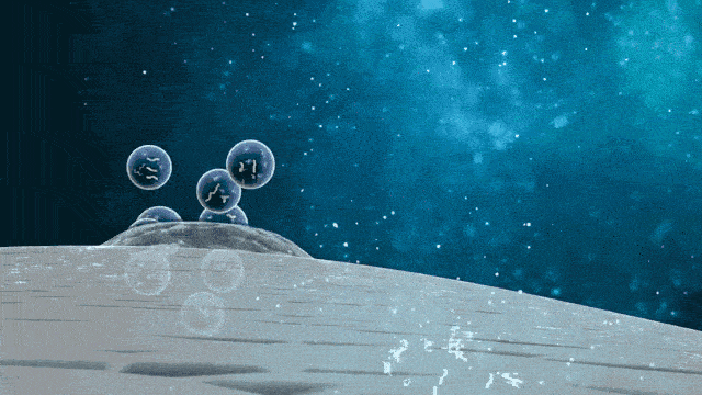 脐带紧致抗皱系列产品：真实功效，紧致抗皱保湿！-脐带精华修复面膜