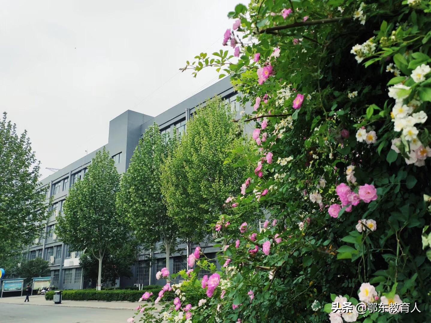 郑州1老师漏掉15名学生对口高考报名，是老师疏忽还是另有隐情？（2020郑州对口高考分数线）