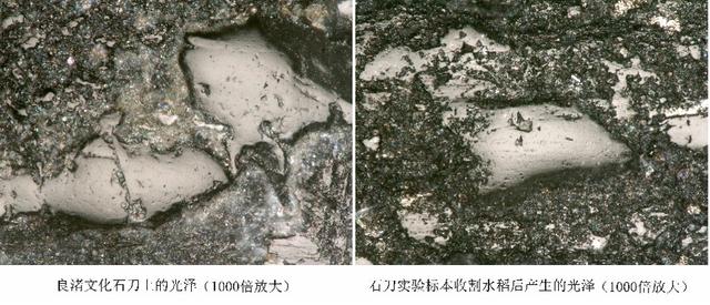 浙大考古人vol.2｜陈虹：破解微痕，用显微镜揭开历史（浙江大学网红陈）