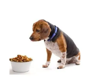 如何正确选择咨询机构和认证机构（认证咨询机构）