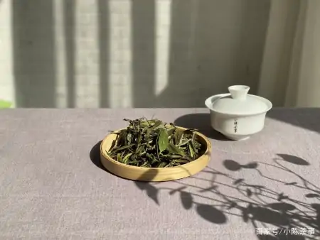 高档礼盒的老白茶，可以长期收藏吗？内行人直言，藏茶没这么简单-老白茶包装盒