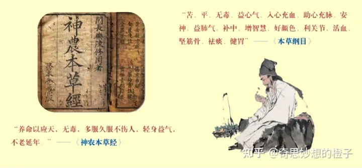 灵芝孢子粉功效与作用，你知道哪些？-四类人不能吃灵芝孢子