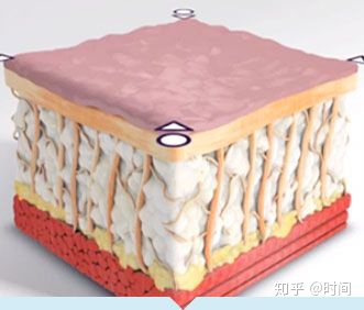 线雕和筋膜提升的区别？面部筋膜提升术的危害？细细品-面部提升是线雕好还是做筋膜层提升
