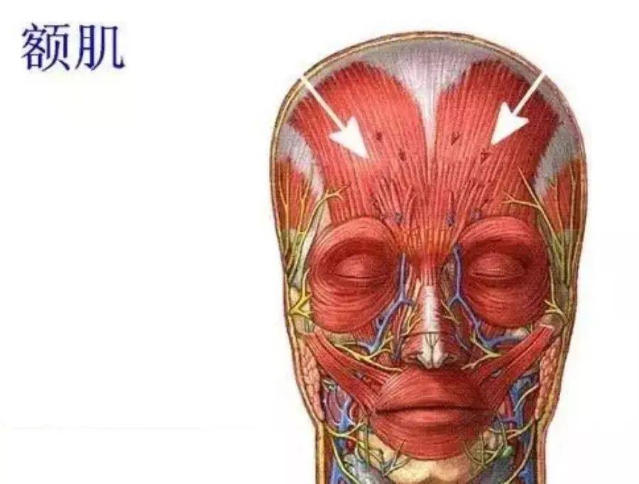 “提升面部”一定要先纠正“体态”-如何做面部提升