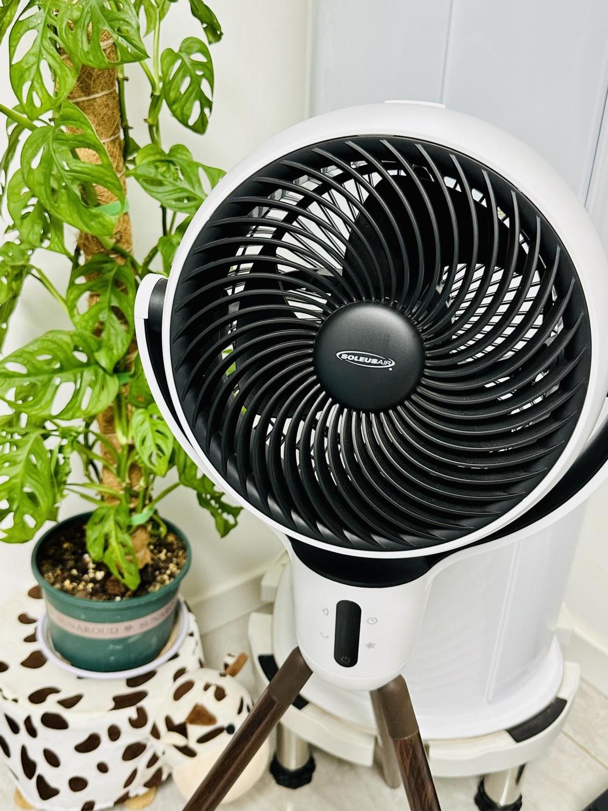 久吹风扇总头疼！亲身体验后我想说：空气循环扇真的不是智商税!-空气循环扇会制冷吗