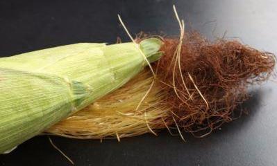 “玉米须”别乱丢，坚持用来泡水喝，轻松收获1大好处！-三种人不宜喝玉米须