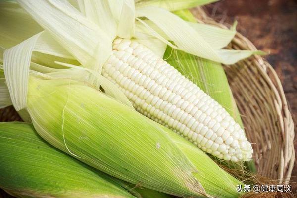 玉米须泡水喝真的能养生？中医：身体有这些问题的人，不妨试试！-玉米须泡水喝的用处