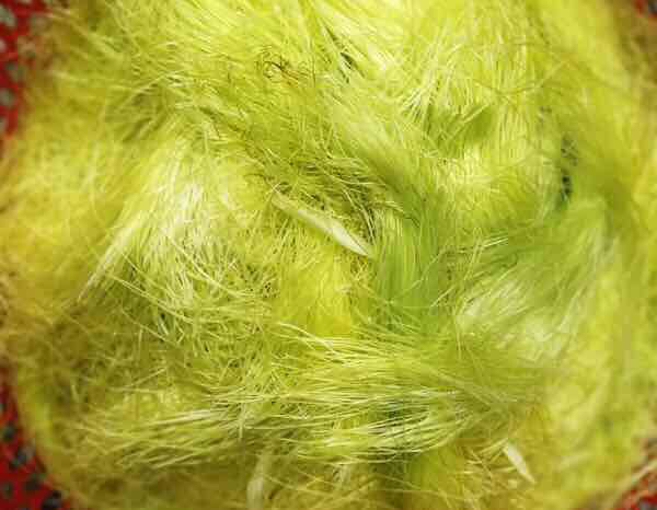 “玉米须”竟然能泡茶！清热又解暑，一起试试吧-玉米须茶泡水喝的功效