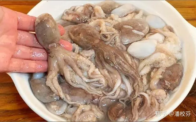 煮八爪鱼，有人用冷水，有人用开水，大厨：都不对，教你正确做法（煮八爪鱼用凉水还是热水）