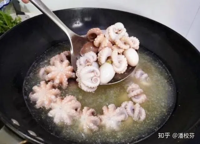 煮八爪鱼，有人用冷水，有人用开水，大厨：都不对，教你正确做法（煮八爪鱼用凉水还是热水）