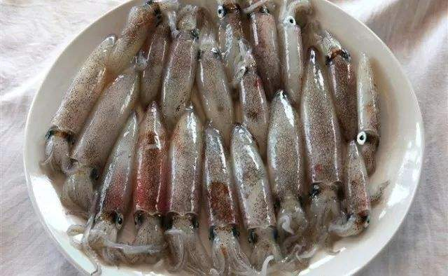 鱿鱼、章鱼、墨鱼、八爪鱼、乌贼傻傻分不清楚？一文教你记住它们（鱿鱼,墨鱼,八爪鱼,章鱼,乌贼的区别）