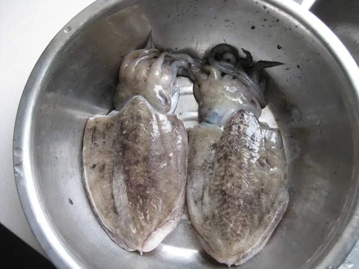 鱿鱼、章鱼、墨鱼、八爪鱼、乌贼傻傻分不清楚？一文教你记住它们（鱿鱼,墨鱼,八爪鱼,章鱼,乌贼的区别）