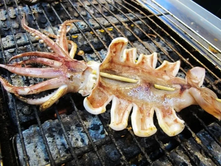 鱿鱼、章鱼、墨鱼、八爪鱼、乌贼傻傻分不清楚？一文教你记住它们（鱿鱼,墨鱼,八爪鱼,章鱼,乌贼的区别）