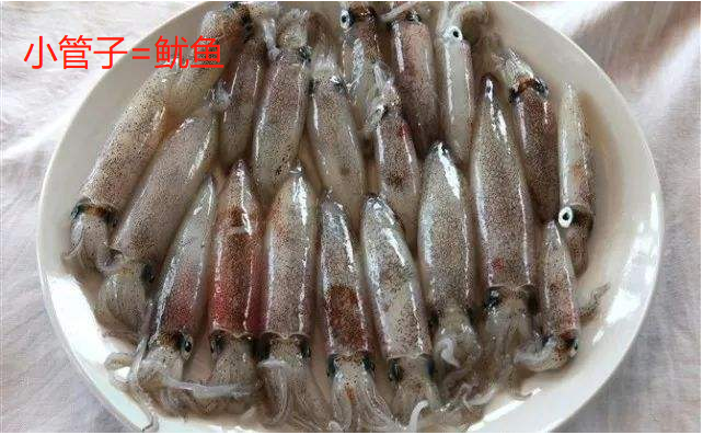 鱿鱼、章鱼、墨鱼、八爪鱼、乌贼傻傻分不清楚？一文教你记住它们（鱿鱼,墨鱼,八爪鱼,章鱼,乌贼的区别）