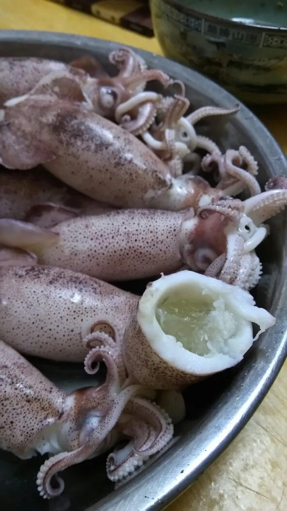 鱿鱼、章鱼、墨鱼、八爪鱼、乌贼傻傻分不清楚？一文教你记住它们（鱿鱼,墨鱼,八爪鱼,章鱼,乌贼的区别）