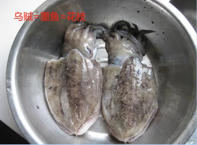 鱿鱼、章鱼、墨鱼、八爪鱼、乌贼傻傻分不清楚？一文教你记住它们（鱿鱼,墨鱼,八爪鱼,章鱼,乌贼的区别）