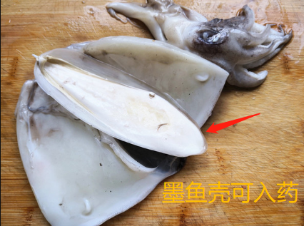 鱿鱼、章鱼、墨鱼、八爪鱼、乌贼傻傻分不清楚？一文教你记住它们（鱿鱼,墨鱼,八爪鱼,章鱼,乌贼的区别）