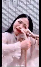 鱿鱼、章鱼、墨鱼、八爪鱼、乌贼傻傻分不清楚？一文教你记住它们（鱿鱼,墨鱼,八爪鱼,章鱼,乌贼的区别）