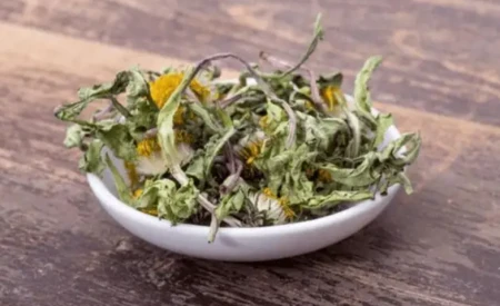 蒲公英“最佳搭档”找到了，没事泡水喝，身体或会出现这些变化-蒲公英加什么泡水喝的功效最好