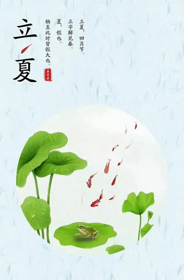 立夏已至，夏季适合吃什么食物？