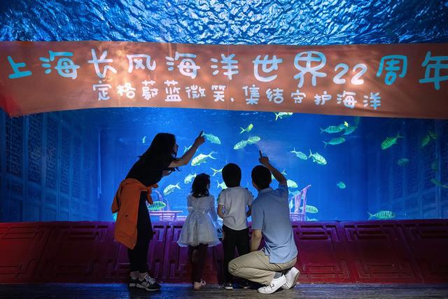 长风海洋世界推出鳐鱼湾，全球最大水下章鱼堡实景等你打卡01:02（长风海洋世界和海洋水族馆）