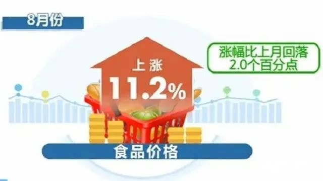 社保一锤定音！养老金2023年继续上涨，满40年工龄普调12%？这三种退休人员太苦！-二o二一年养老金涨多少