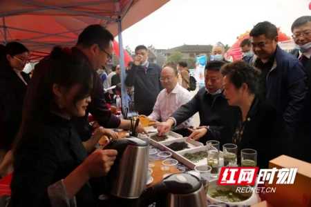 湘西：让茶叶有“黄金品质” 打造“黄金口碑”-湘西名茶