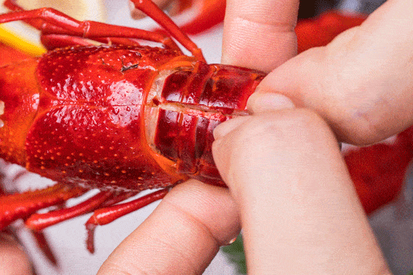 【一周通用|小龙虾自助】¥188起/位--大宁福朋喜来登燃爆开场！6种轮番上，招牌熟醉、泰式酸辣独占C位！海鲜刺身+BBQ畅吃！（小龙虾自助餐）