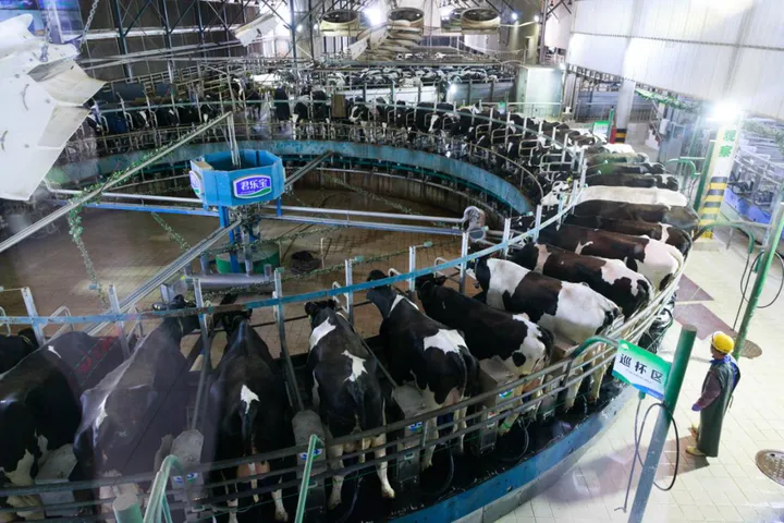 奶粉主要成分是什么？-奶粉最主要的几个成分