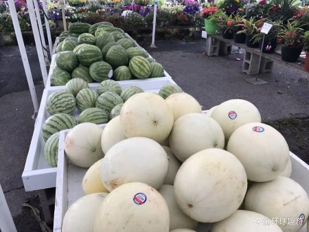 不能带上飞机的物品清单-不能带上飞机的食品有哪些