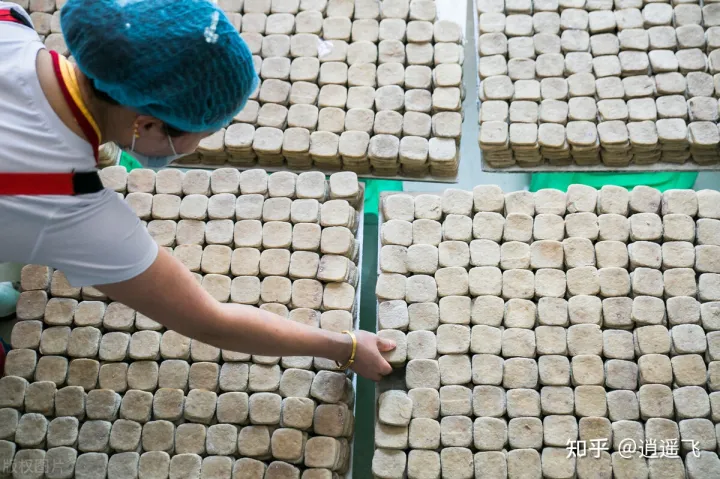 30个农村办厂项目 好点子致富不愁销路-适合农村办厂投资项目