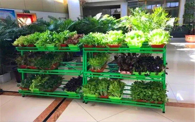 3万元以内的投入，可以开办的家庭作坊式工厂，这几个项目有前景-家庭作坊如何