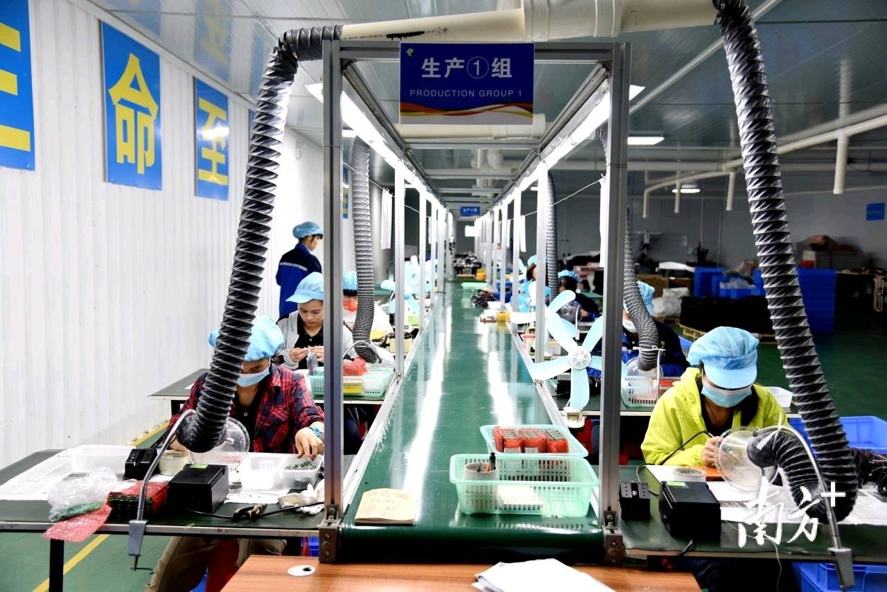 茂名电白多地乡贤回流农村办厂，创业就业都有盼头-电白乡镇赶集时间表查询