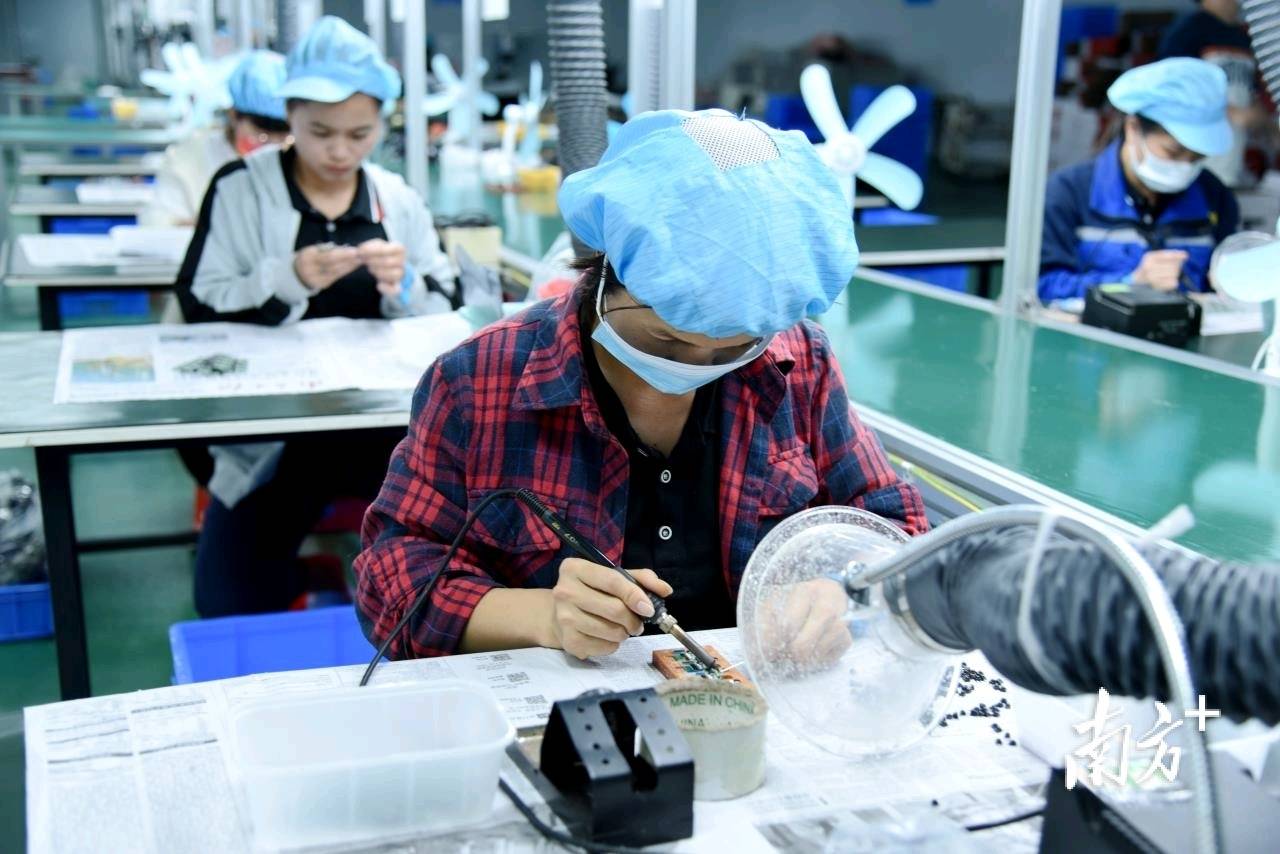 茂名电白多地乡贤回流农村办厂，创业就业都有盼头-电白乡镇赶集时间表查询