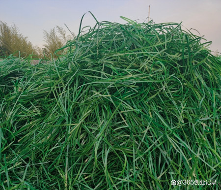 不起眼的冷门加工生意，投资小、利润大，夫妻俩投资10多万能办厂-投资什么加工行业挣钱多