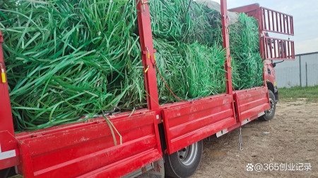 不起眼的冷门加工生意，投资小、利润大，夫妻俩投资10多万能办厂-投资什么加工行业挣钱多